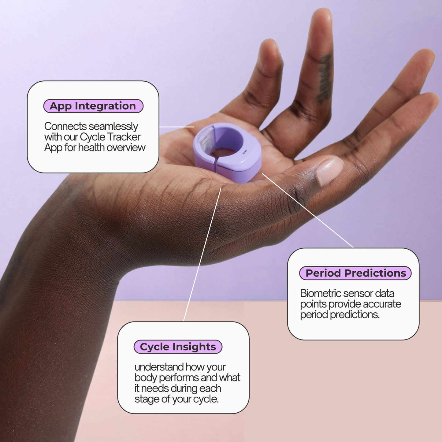 Basal Body Ring